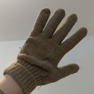 pair of gloves